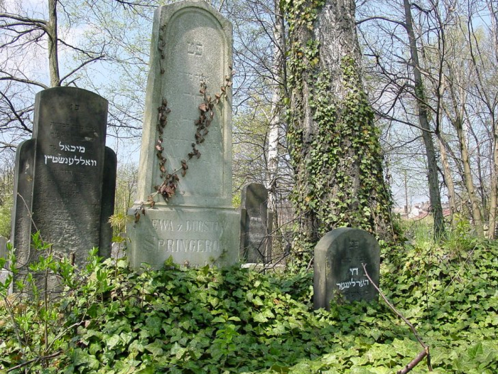 Cmentarz żydowski w Chrzanowie 30.04.2005 r.