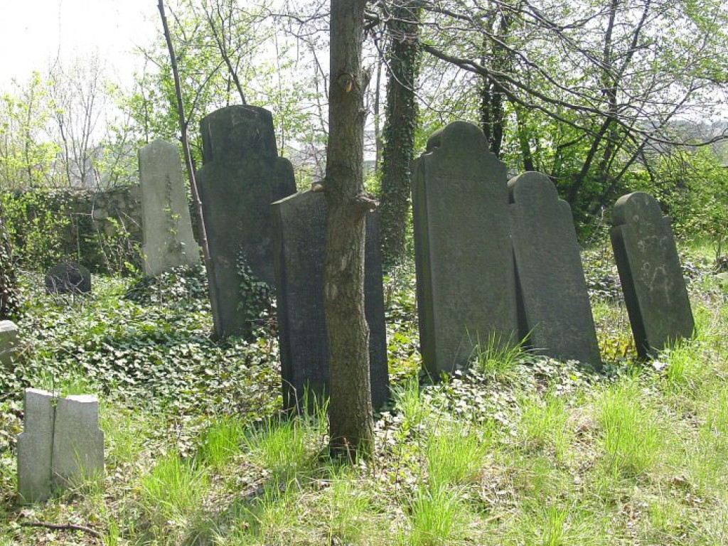 Cmentarz żydowski w Chrzanowie 30.04.2005 r.