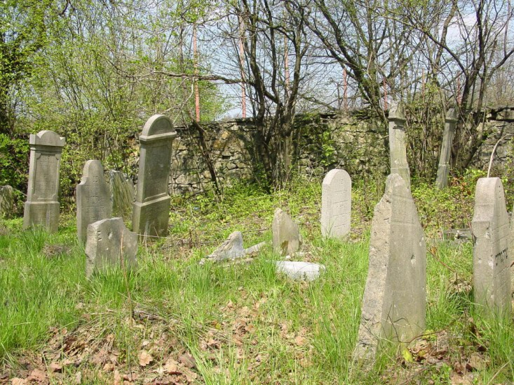 Cmentarz żydowski w Chrzanowie 30.04.2005 r.
