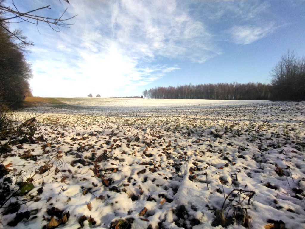 Niedzielny spacer nad Doliną Sanki i Wąwozem Półrzeczki
