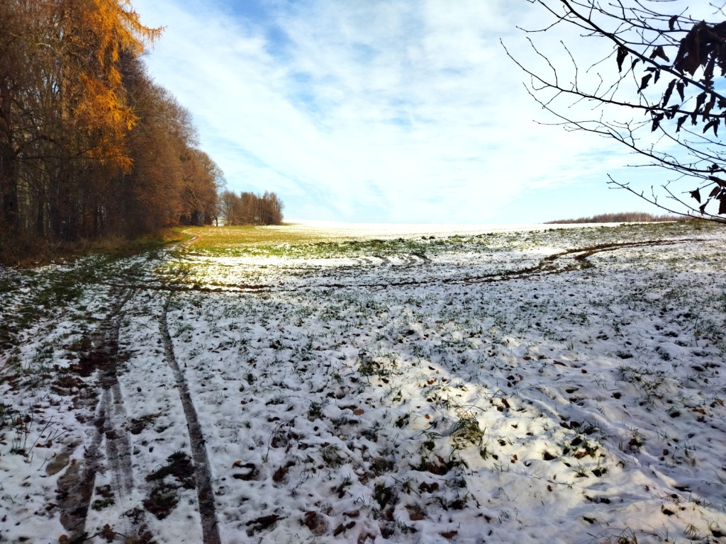 Niedzielny spacer nad Doliną Sanki i Wąwozem Półrzeczki