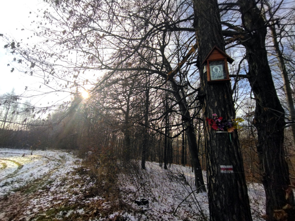Niedzielny spacer nad Doliną Sanki i Wąwozem Półrzeczki