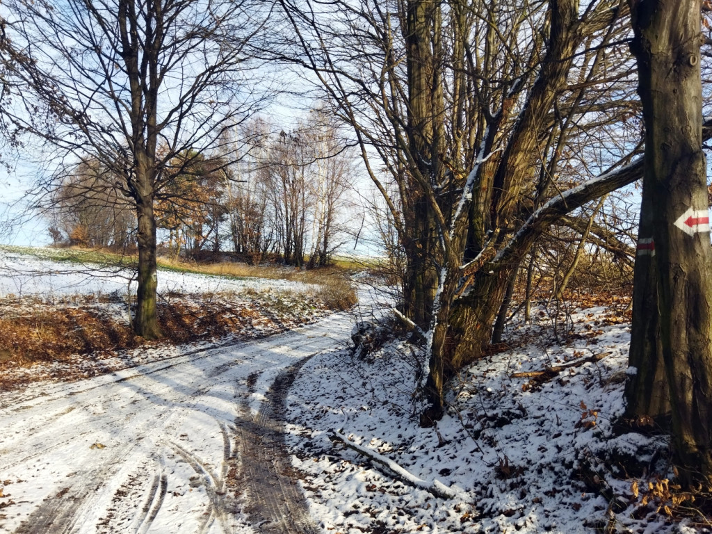 Niedzielny spacer nad Doliną Sanki i Wąwozem Półrzeczki