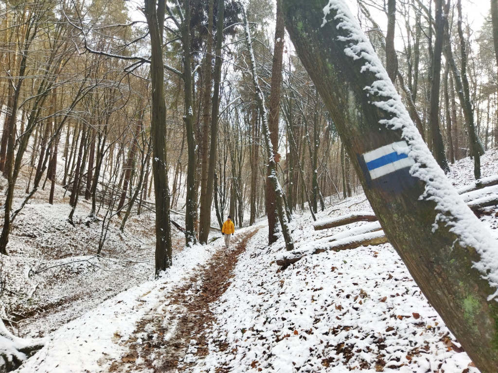 Niedzielny spacer nad Doliną Sanki i Wąwozem Półrzeczki
