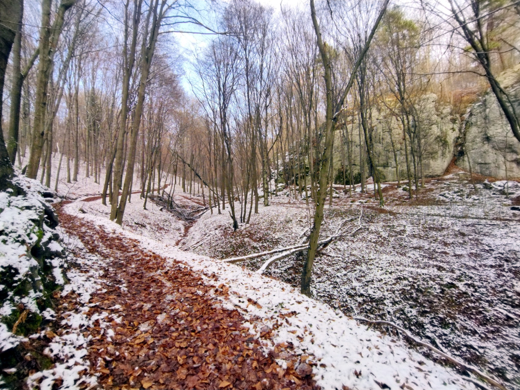Niedzielny spacer nad Doliną Sanki i Wąwozem Półrzeczki