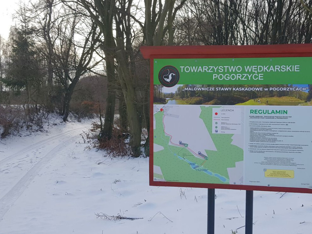 Stawy kaskadowe w Pogorzycach w zimowej odsłonie