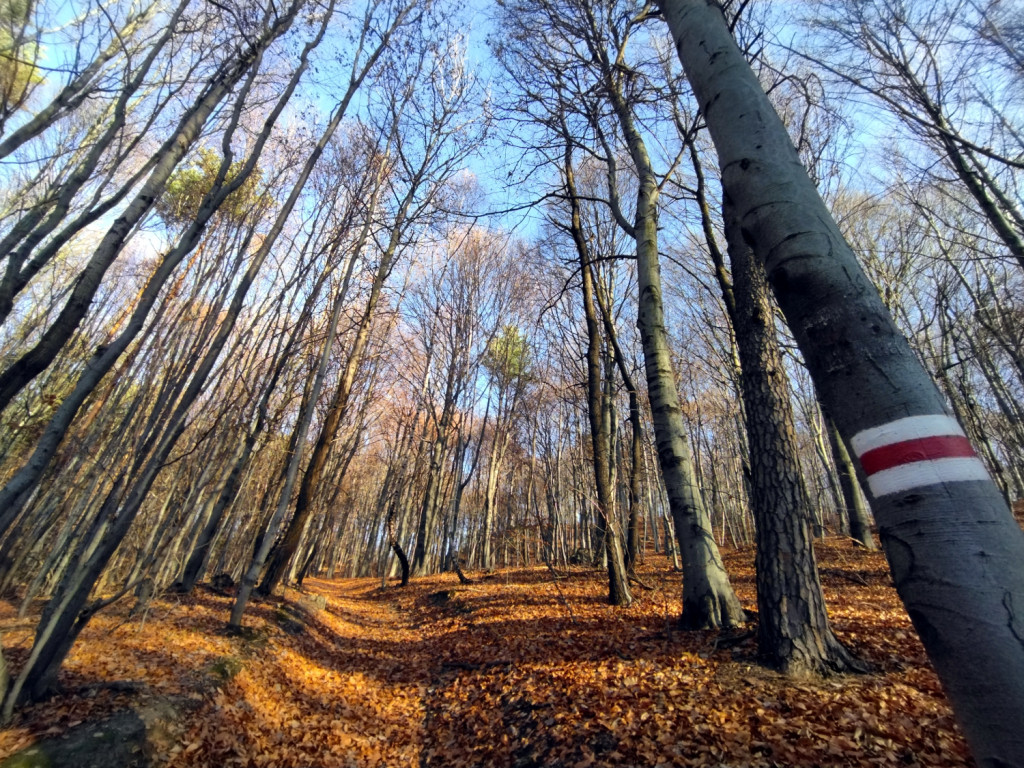 Wycieczka wokół Doliny Szklarki w gminie Jerzmanowice-Przeginia