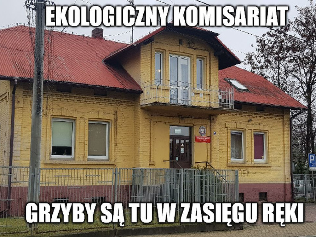 Memy o komisariacie w Libiążu