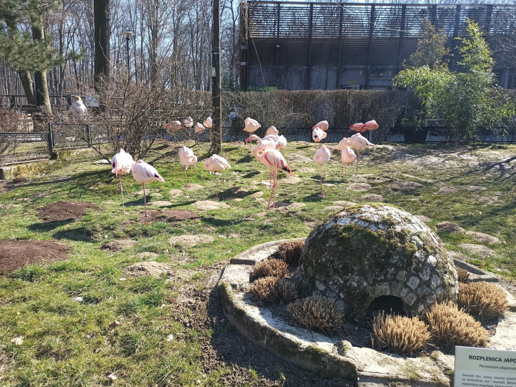 Krakowskie zoo zaprasza zwiedzających z Ukrainy