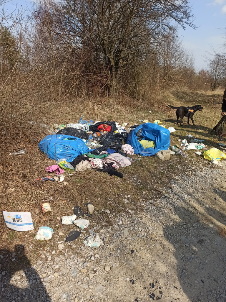 Jedni śmiecą, a OSP Ostrężnica sprząta