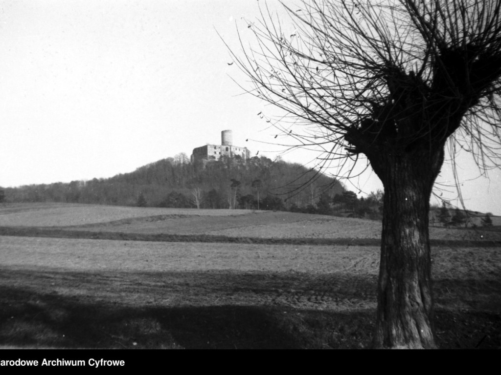 Zobacz jak wyglądał zamek Lipowiec około 100 lat temu