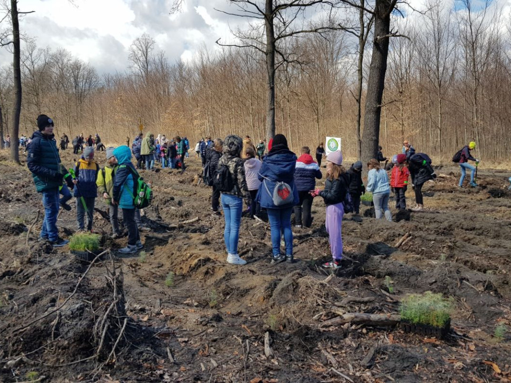 Sadzenie drzew z PTT Chrzanów w Chrzanowie-Stelli