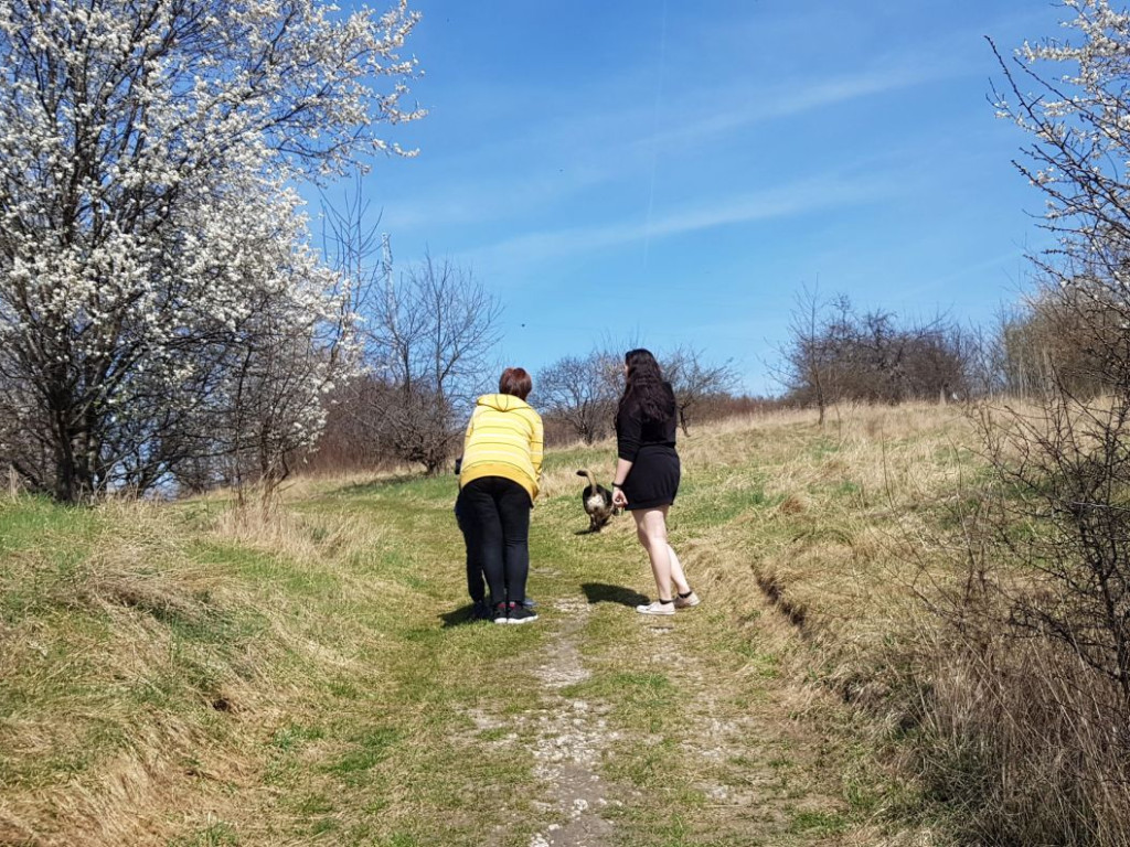 Góra Berłowa w Chrzanowie