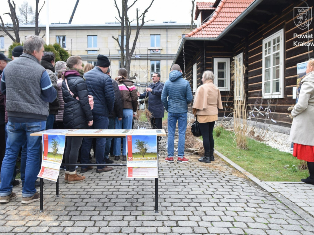 W Krzeszowicach bezpłatnie rozdawano sadzonki drzew