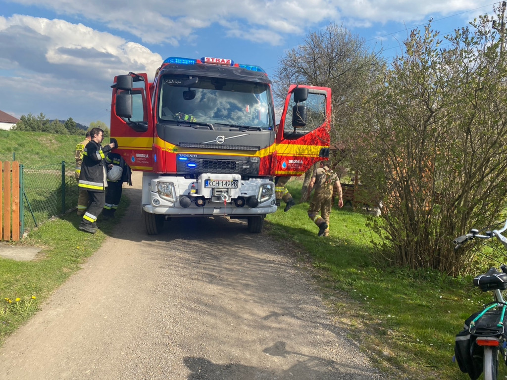 Pożar w Okleśnej. Spłonęły tuje