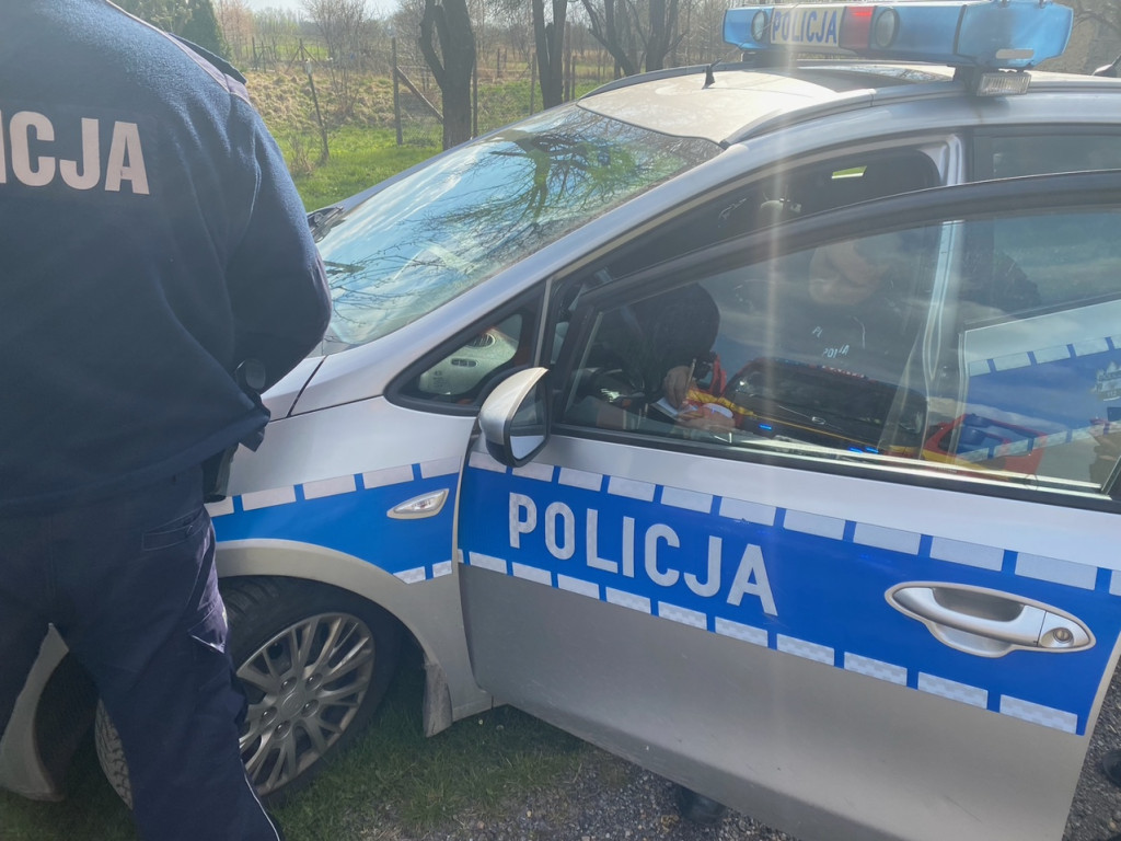 Pożar w Okleśnej. Spłonęły tuje