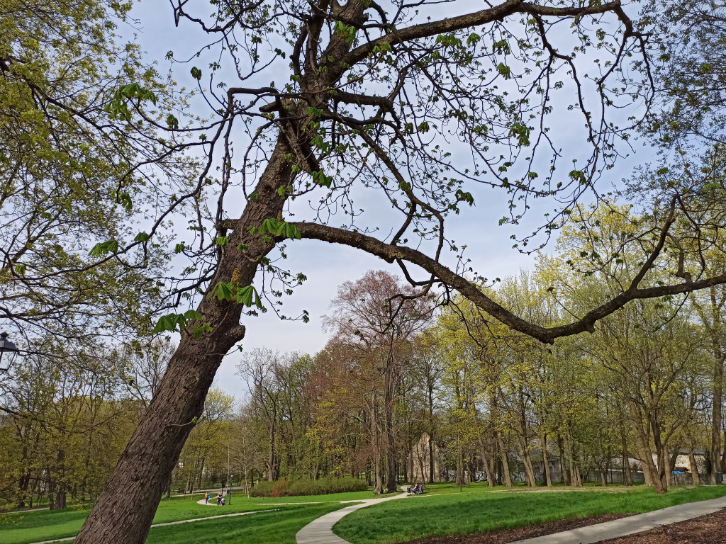 Park w Kościelcu w wiosennej odsłonie
