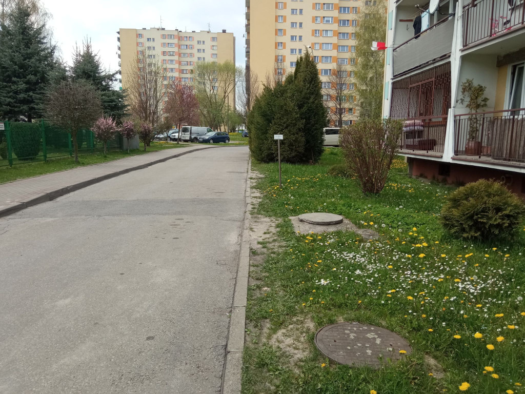Rozjechana zieleń i parkowanie pod zakazem na os. Niepodległości w Chrzanowie