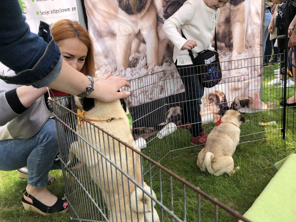 Piknik Przyjaźni w Chrzanowie. Część 2