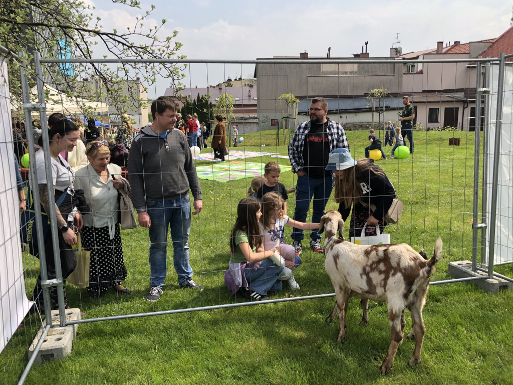 Piknik Przyjaźni w Chrzanowie. Część 2