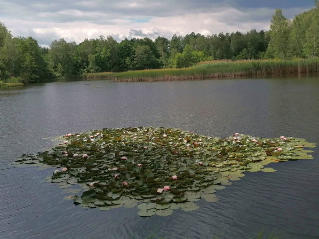 Wycieczka rowerowa na trasie Chrzanów - Żarki - Mętków - Libiąż - Chrzanów