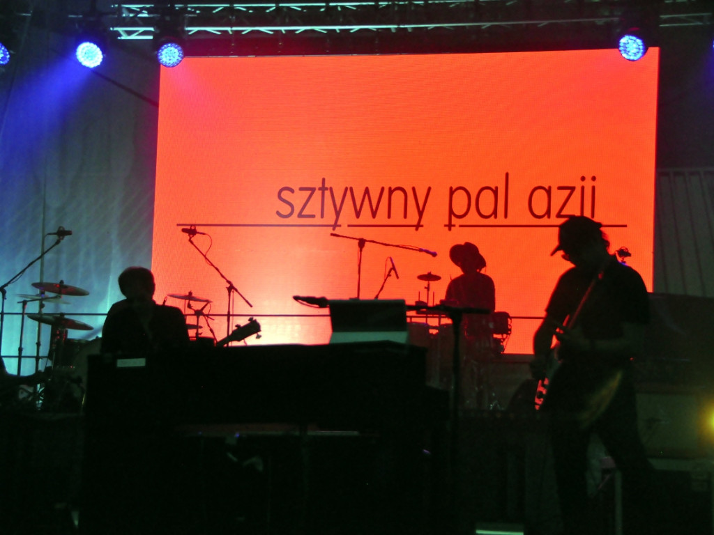 Jubileuszowy koncert Sztywnego Pala Azji podczas Chechło Live Festiwal