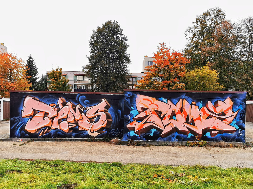 Graffiti na chrzanowskich murach. Fot. #henrytens