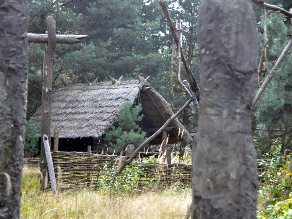 Wioska wybudowana w Puszczy Dulowskiej na potrzeby serialu Barbarzyńcy