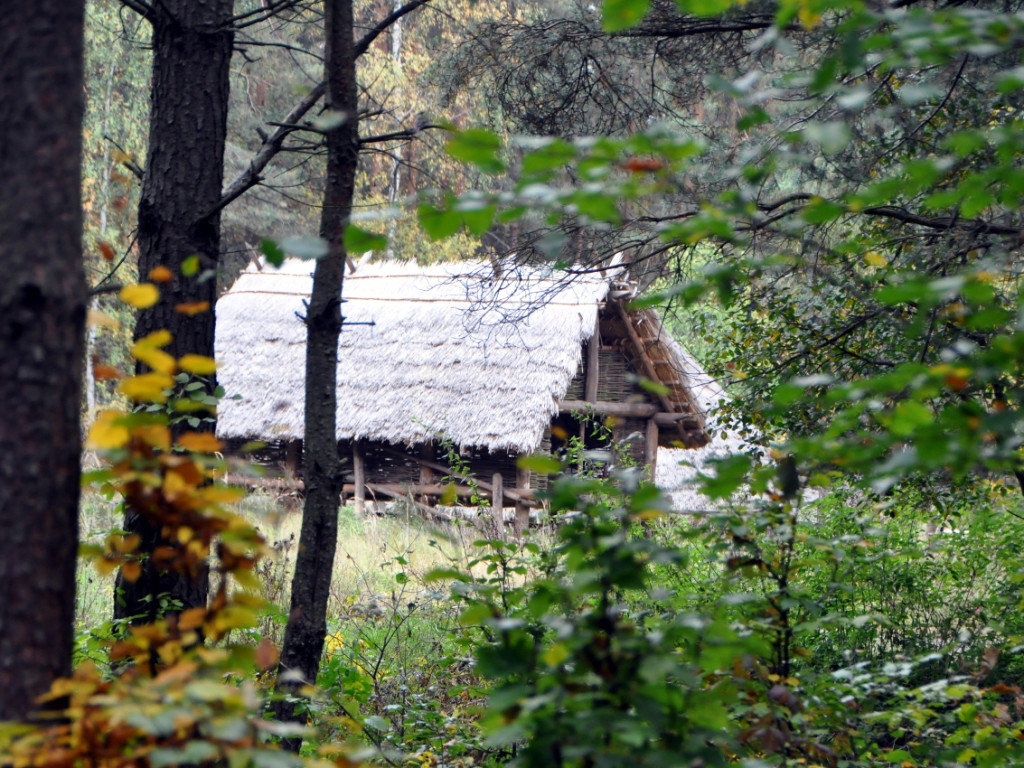 Wioska wybudowana w Puszczy Dulowskiej na potrzeby serialu Barbarzyńcy