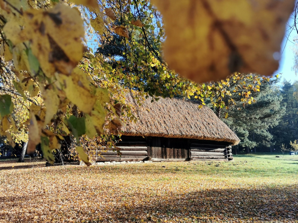 Skansen w Wygiełzowie jesienią. Jest pięknie i kolorowo