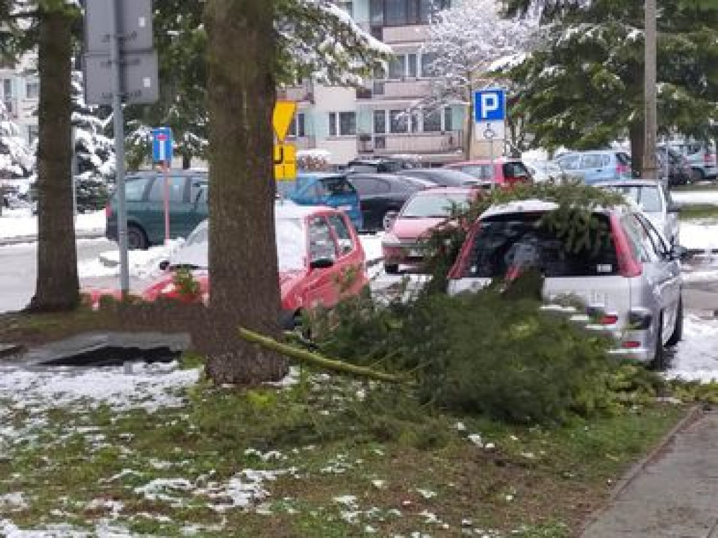 Ciężki śnieg łamie gałęzie