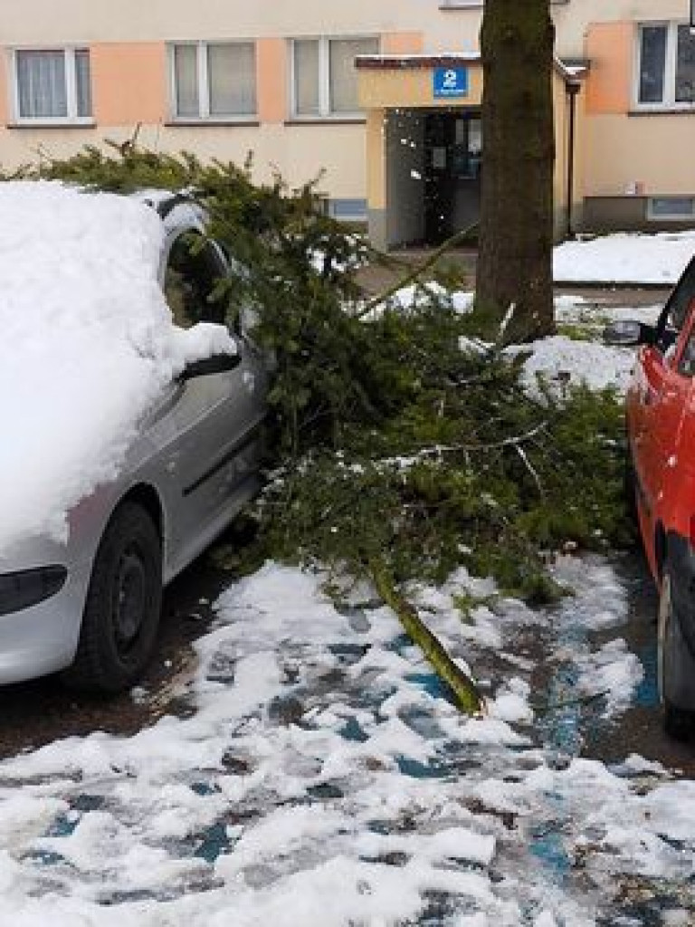 Ciężki śnieg łamie gałęzie