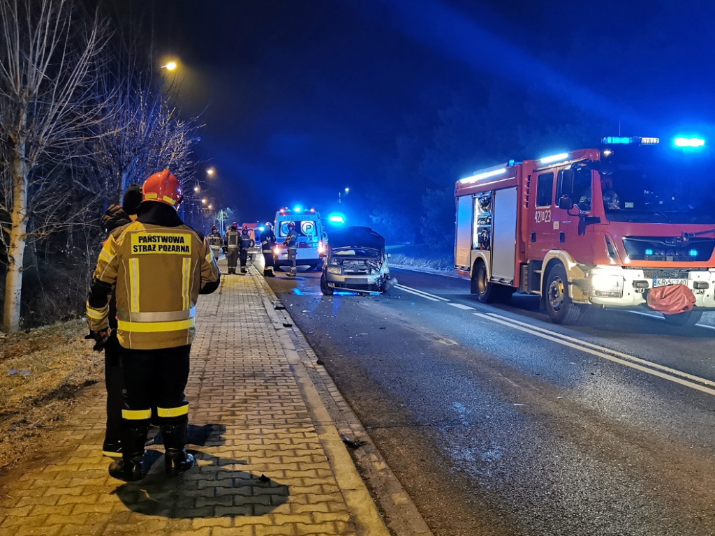 Wypadek na drodze krajowej w Dulowej - 16.02.2023 r.