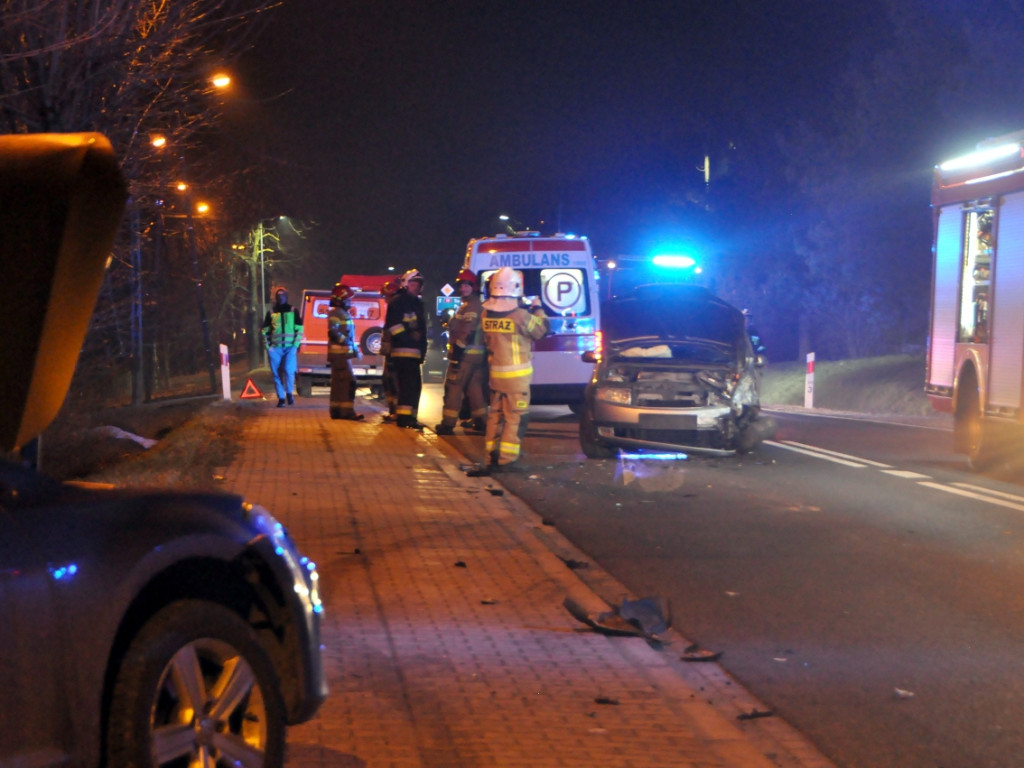 Wypadek na drodze krajowej w Dulowej - 16.02.2023 r.