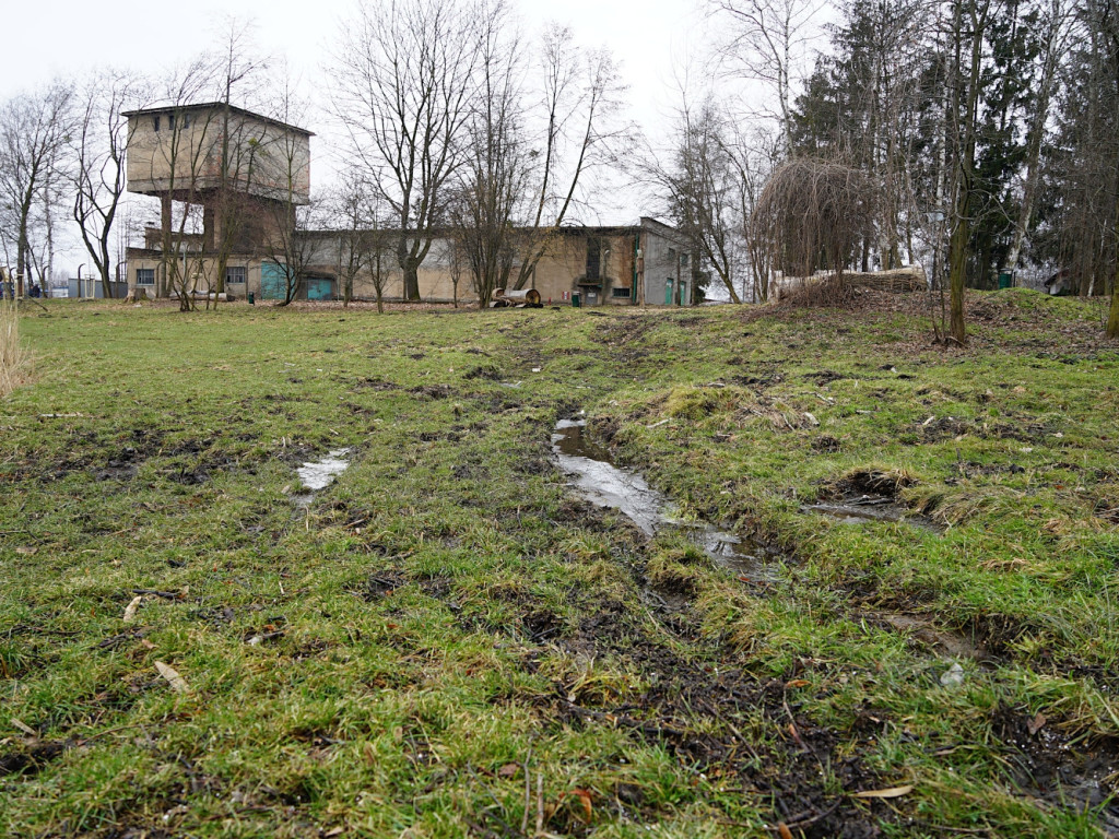 Dolina Trzech Stawów w Chrzanowie - jedni dbają, drudzy niszczą