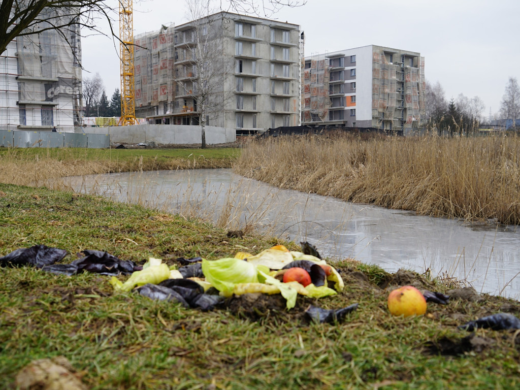 Dolina Trzech Stawów w Chrzanowie - jedni dbają, drudzy niszczą