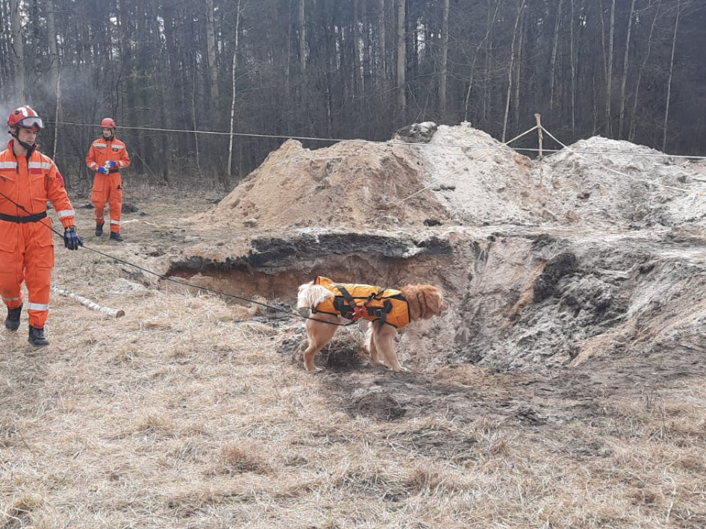 Strażacy szkolą się, jak ratować ludzi z zapadlisk