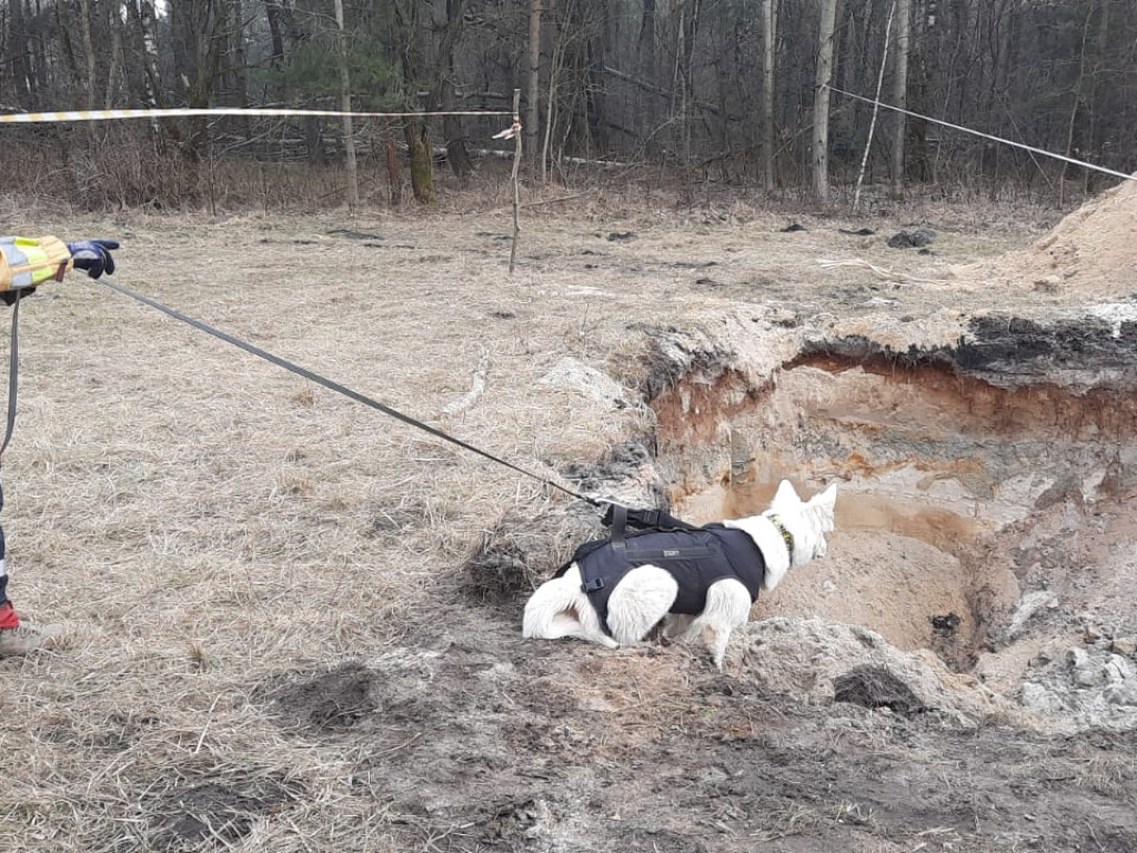 Strażacy szkolą się, jak ratować ludzi z zapadlisk