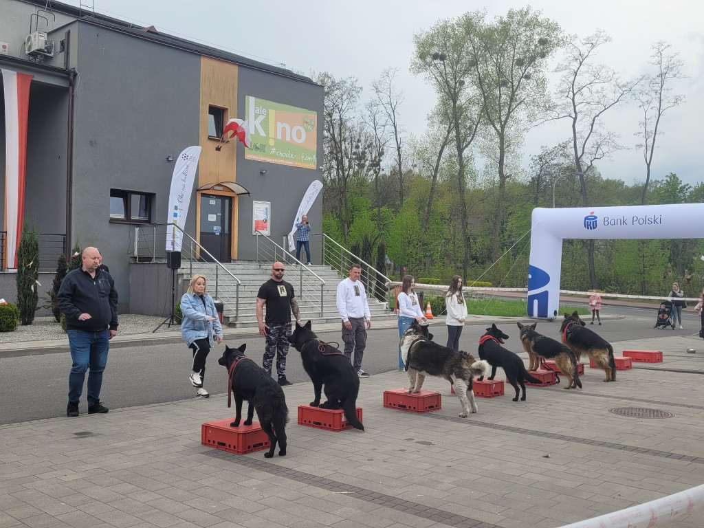 Majówka w Libiążu 2023 r.