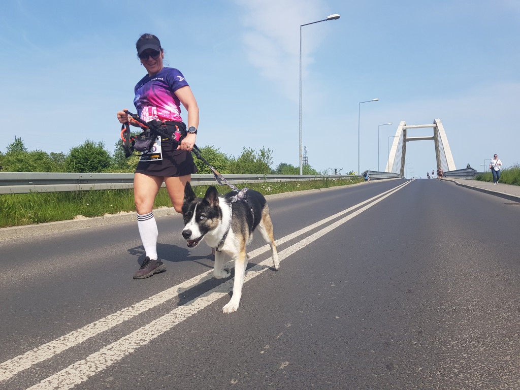 V Chrzanowski Bieg Uliczny "Pociąg do biegania"
