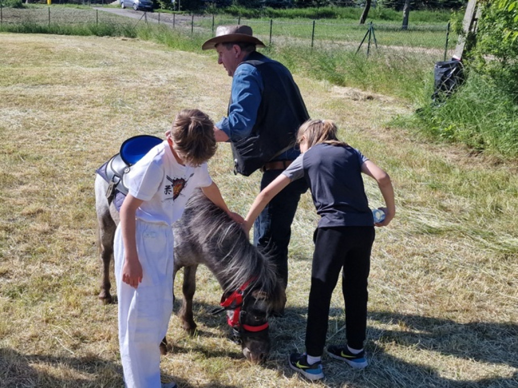 Piknik rodzinny Fundacji Sama Mama w Płazie