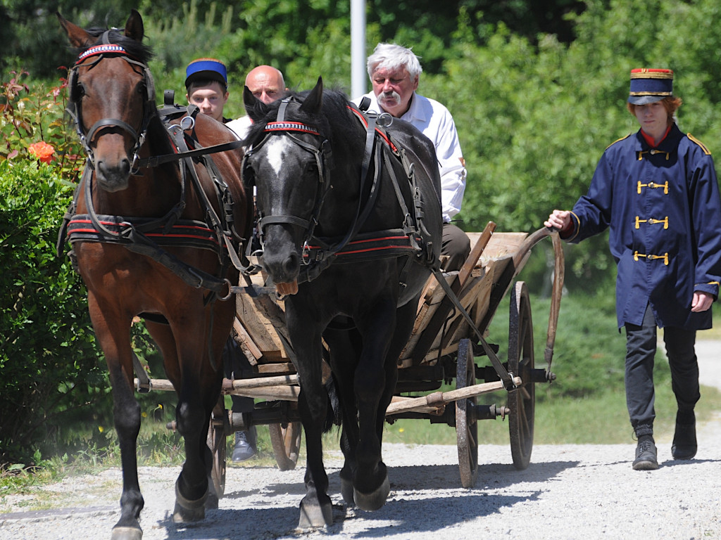 Inscenizacja Powstania Styczniowego w skansenie w Wygiełzowie - 3.06.2023