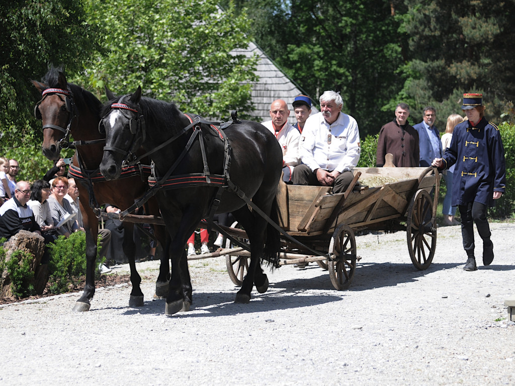 Inscenizacja Powstania Styczniowego w skansenie w Wygiełzowie - 3.06.2023