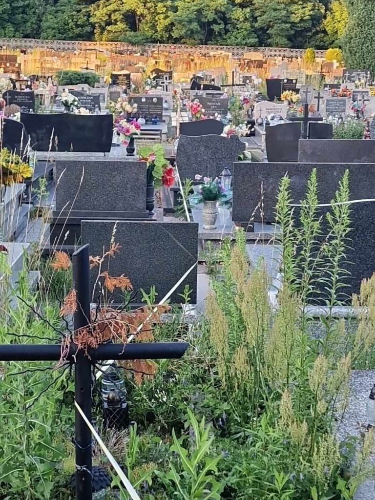 Cmentarz przy Jana Pawła II w Trzebini Sierszy