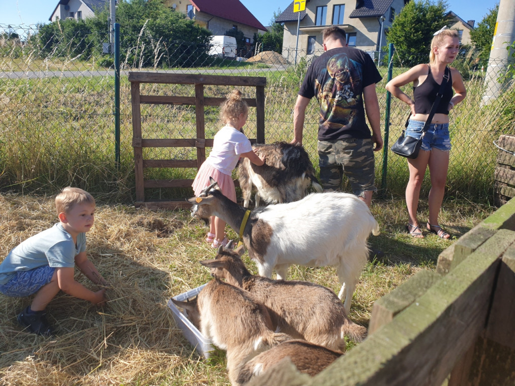 Piknik charytatywny w Płazie 8.07.2023