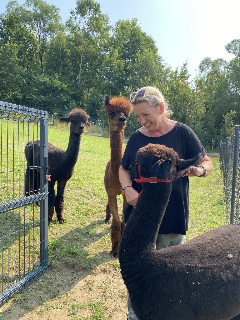 Odwiedziliśmy Alpaca Country w Nowym Wiśniczu