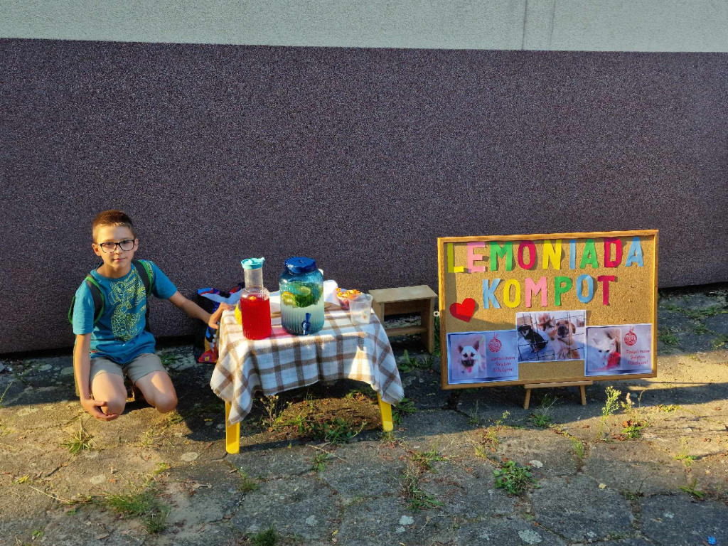 Piknik rodzinny na Osiedlu Gaj w Trzebini - 11.08.2023r.