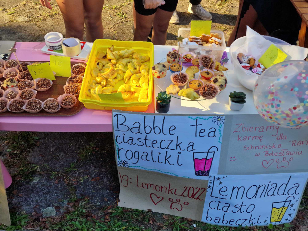 Piknik rodzinny na Osiedlu Gaj w Trzebini - 11.08.2023r.