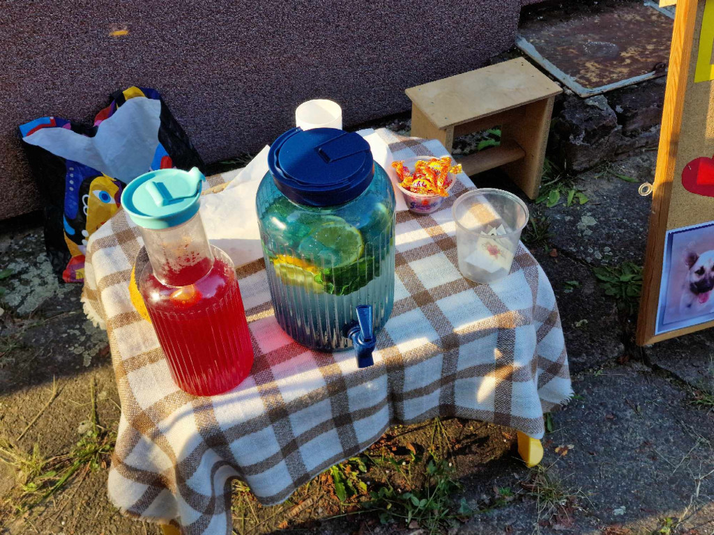 Piknik rodzinny na Osiedlu Gaj w Trzebini - 11.08.2023r.