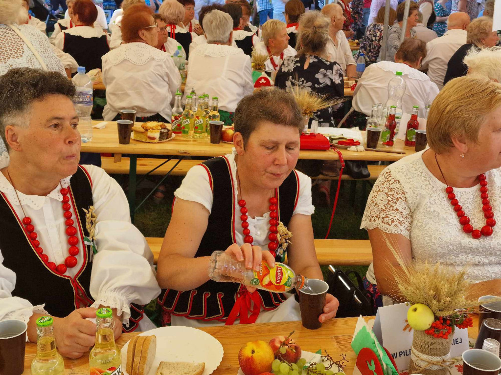 Dożynki Gminy Trzebinia w Sierszy - 20.08.23r.